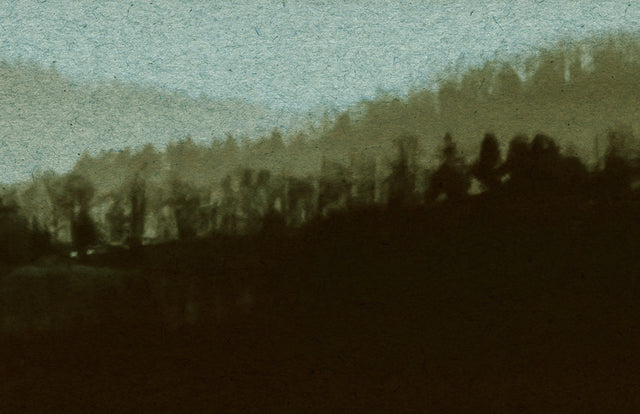 Papier peint panoramique XL DENALI 400 x 270 cm vert olive