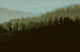 Papier peint panoramique XL Denali Vert olive Satiné