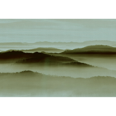 Papier peint panoramique XL Denali Vert olive Satiné