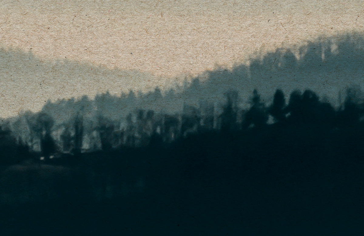 Papier peint panoramique XL Denali Bleu dilué Satiné