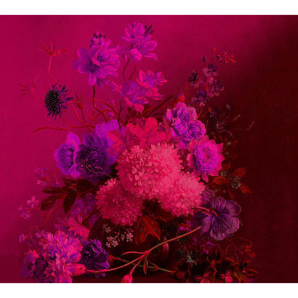 Papier peint panoramique XL Grappolo Fuchsia Satiné