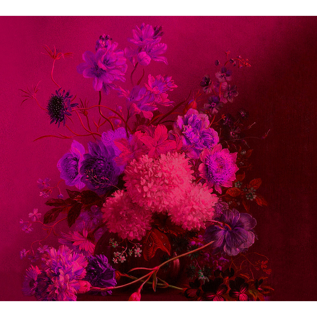Papier peint panoramique XL GRAPPOLO 300 x 270 cm fuchsia