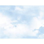 COTTONSKY