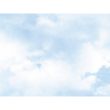 COTTONSKY