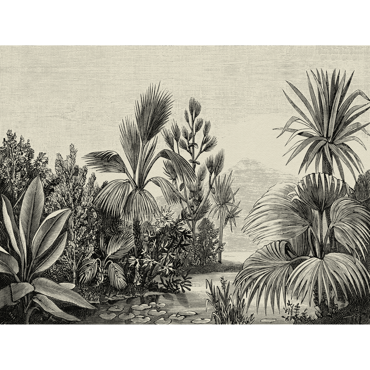 Papier peint panoramique XL Attaya Anthracite Satiné