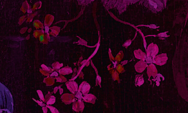 Papier peint panoramique XL GRAPPOLO 300 x 270 cm violet
