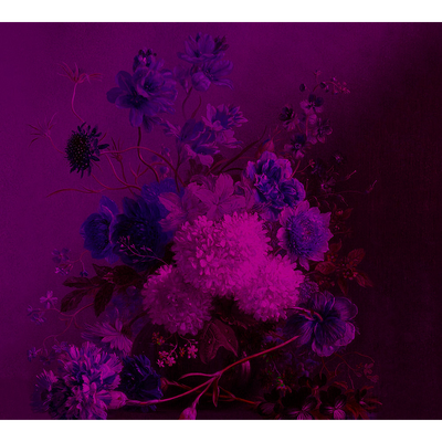 Papier peint panoramique XL Grappolo Violet Satiné