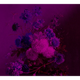 Papier peint panoramique XL Grappolo Violet Satiné