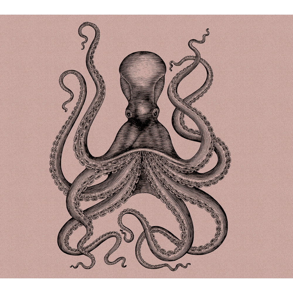 Papier peint panoramique XL Polpito Beige rosé et noir Satiné