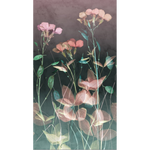 OMBELIA