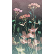 OMBELIA