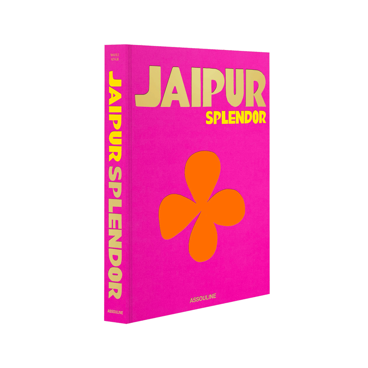ASSOULINE Livre voyage et nature Jaipur splendor Rose