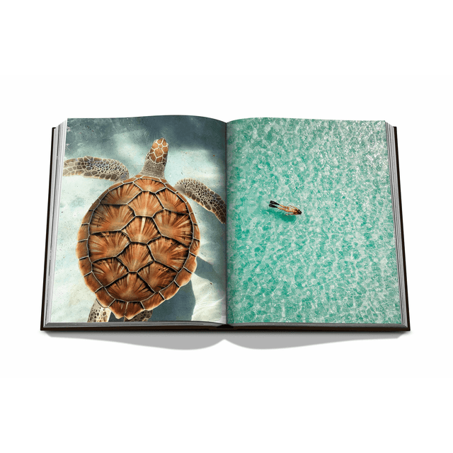 Assouline Livre voyage et nature JAMAICA VIBES