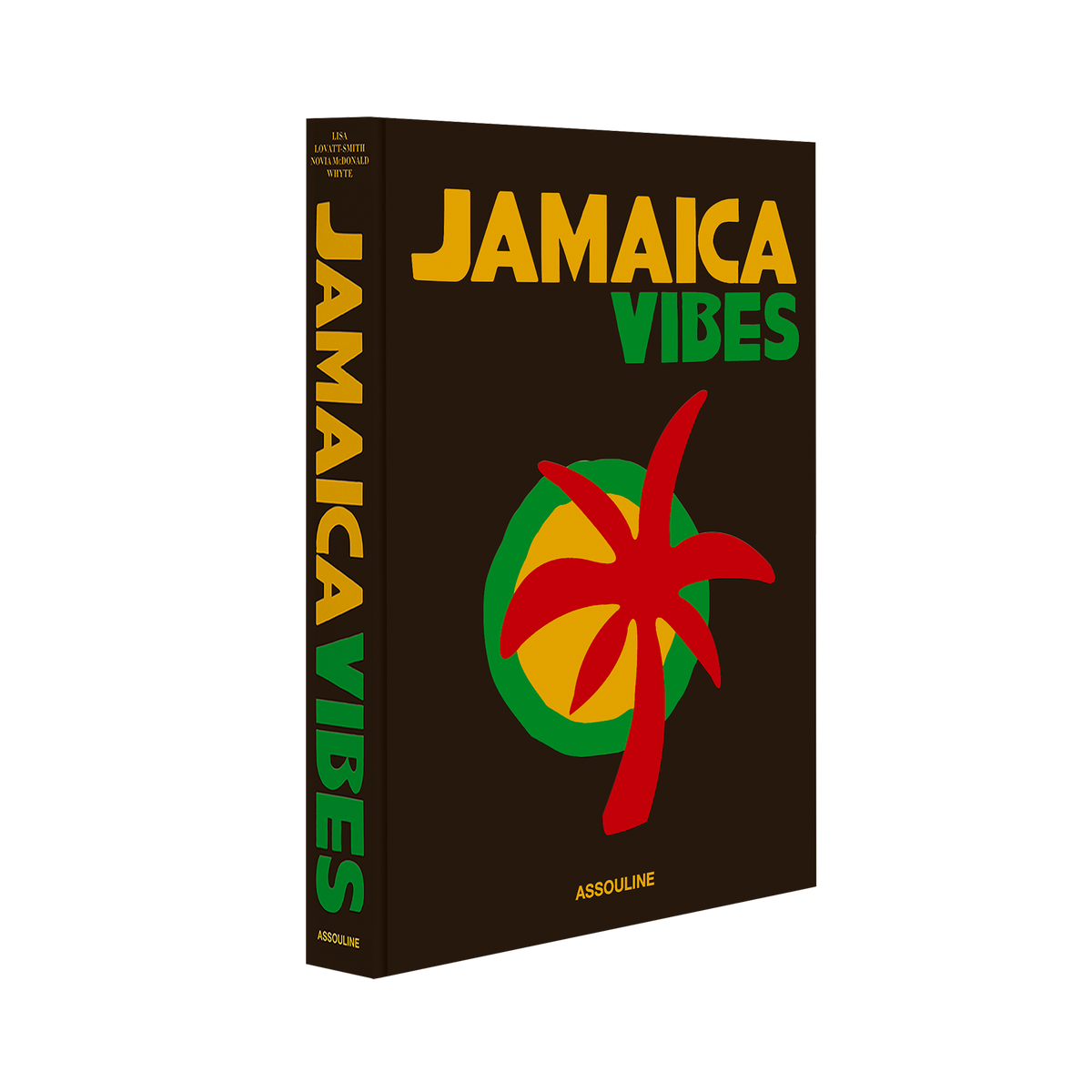 ASSOULINE Livre voyage et nature Jamaica vibes Noir