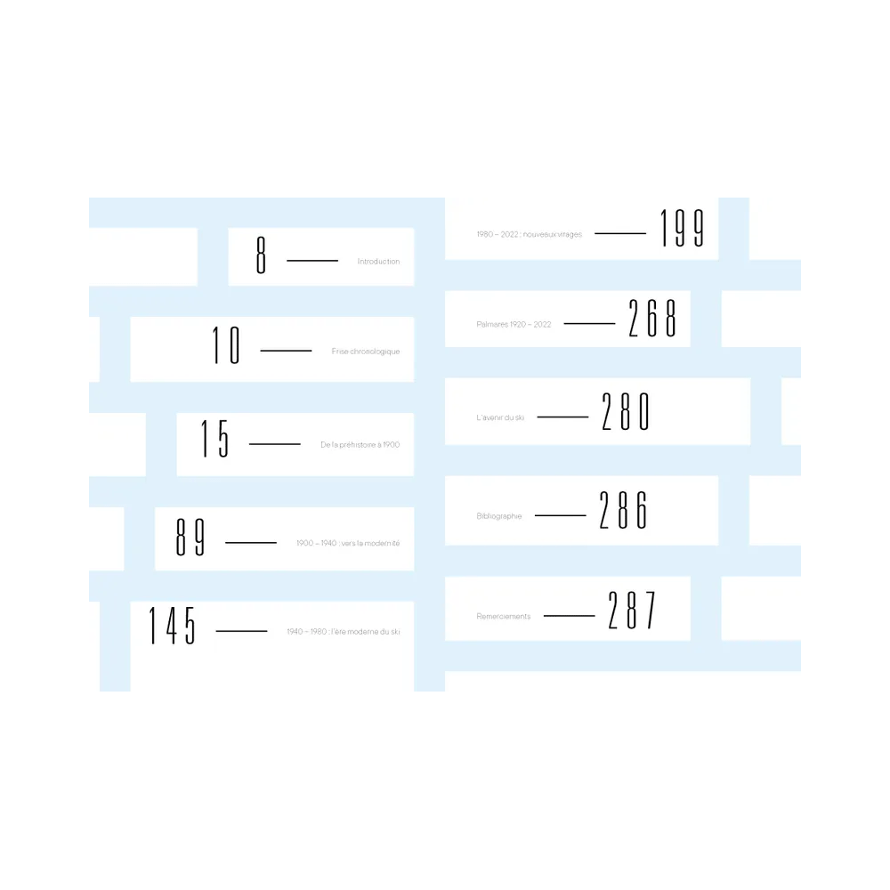 HACHETTE PRATIQUE Livre sport Le grand livre du ski Gris