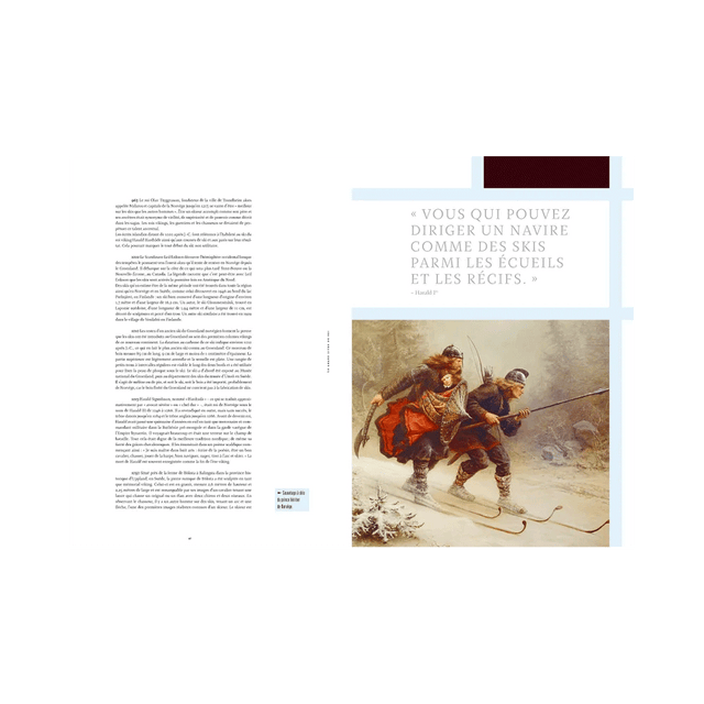 Hachette Pratique Livre sport LE GRAND LIVRE DU SKI