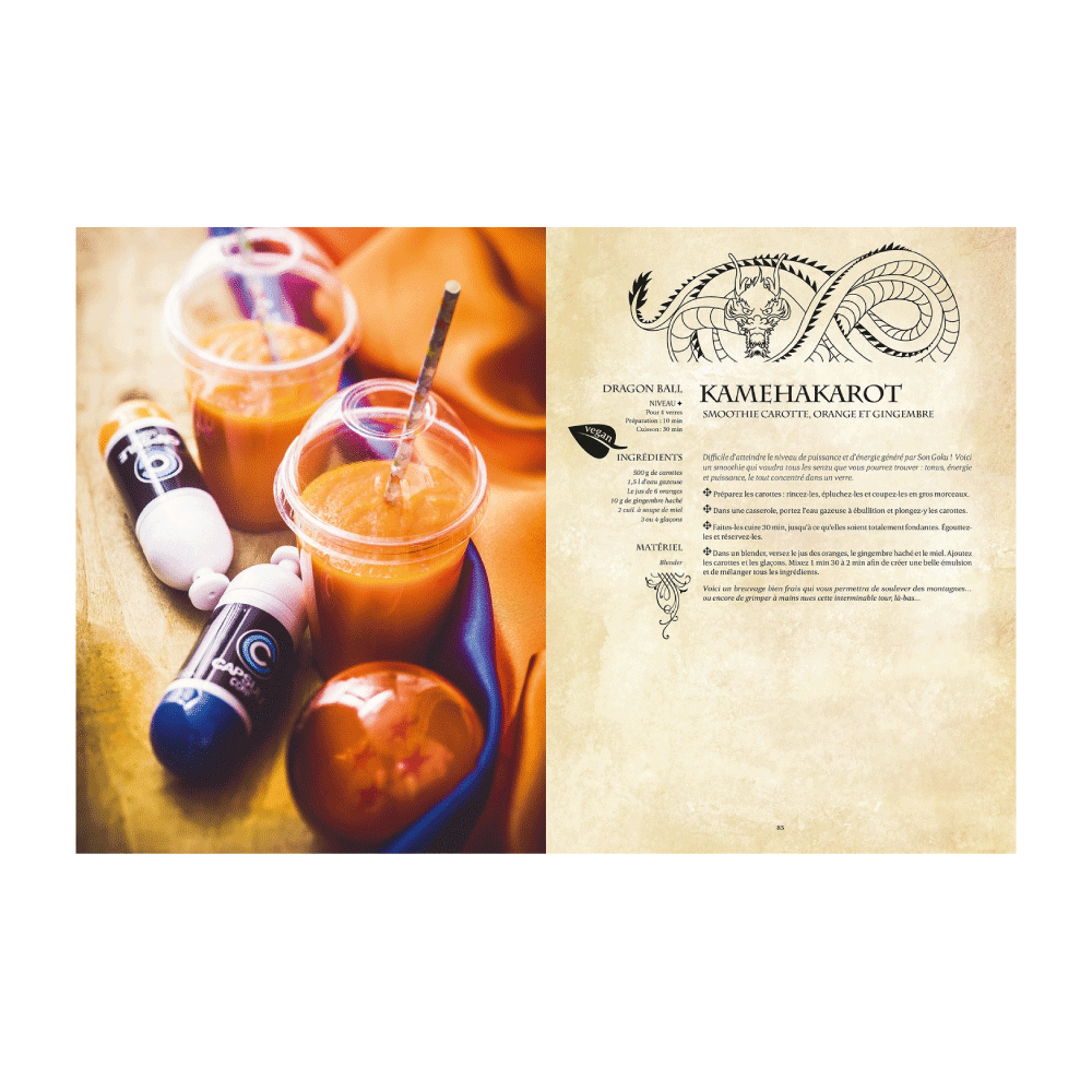 HACHETTE PRATIQUE Livre cuisine Gastronogeek recettes végétariennes Vert