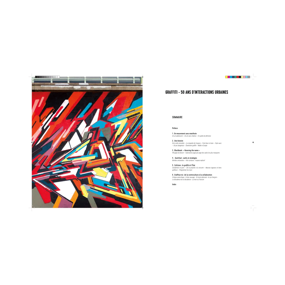 HACHETTE PRATIQUE Livre arts Graffiti 50 ans d'interactions urbaines Gris