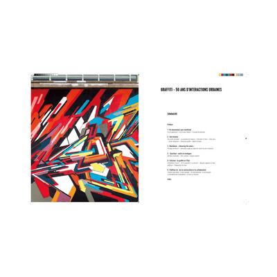 HACHETTE PRATIQUE Livre arts Graffiti 50 ans d'interactions urbaines Gris