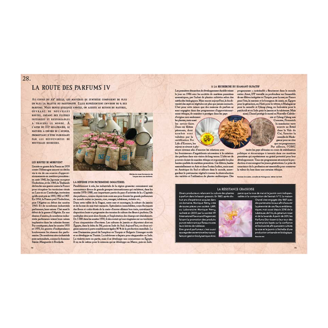 Hachette Pratique Livre mode LA GRANDE HISTOIRE DU PARFUM