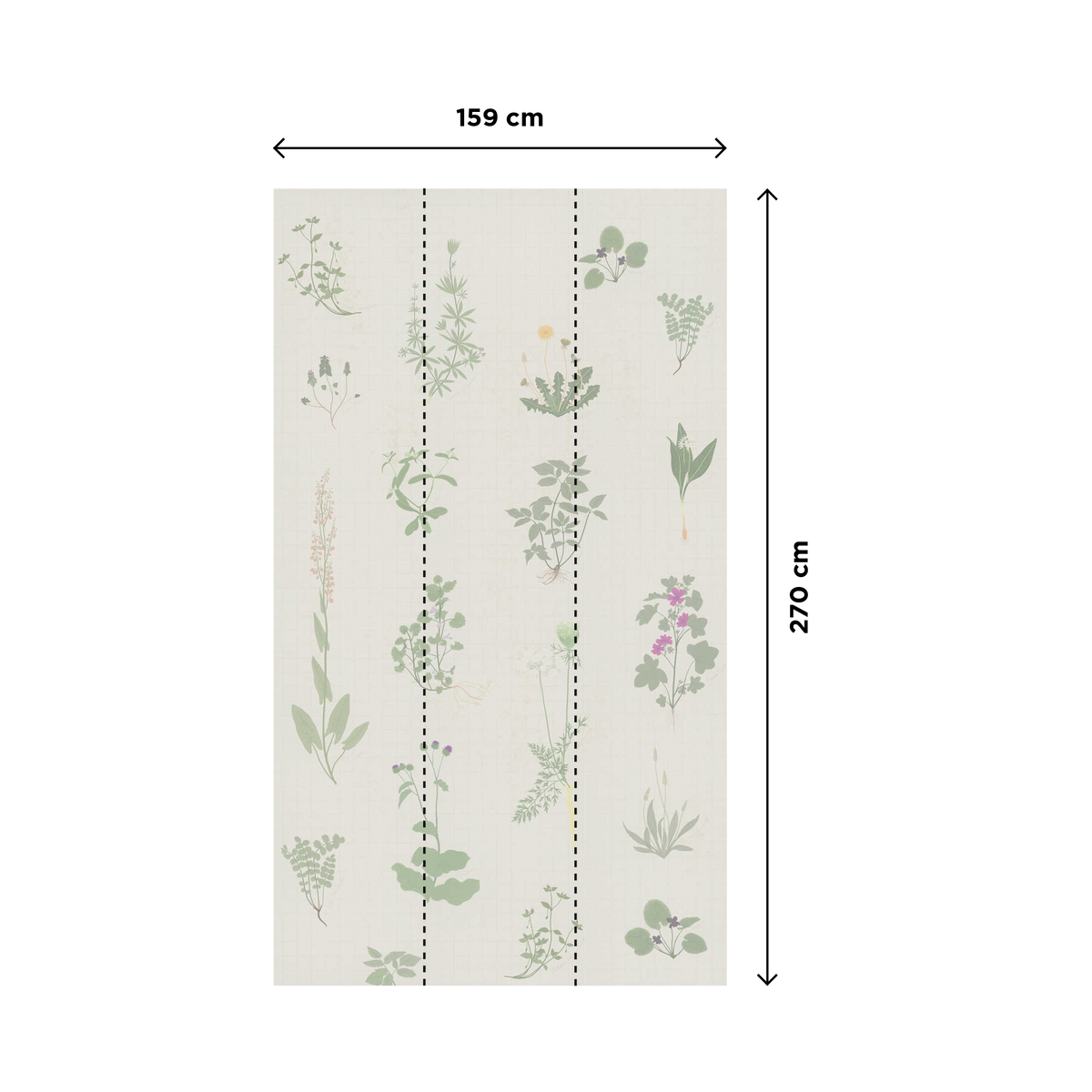 4MURS Papier peint panoramique L Herbier Vert feuille et écru