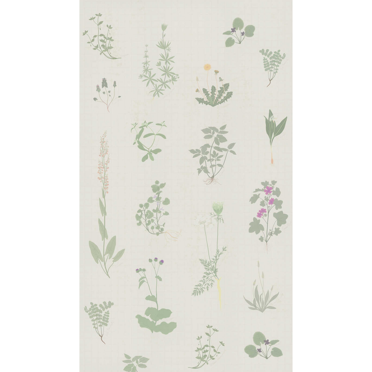 4MURS Papier peint panoramique L Herbier Vert feuille et écru