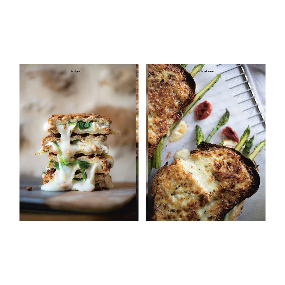 Livre cuisine Les croques Beige