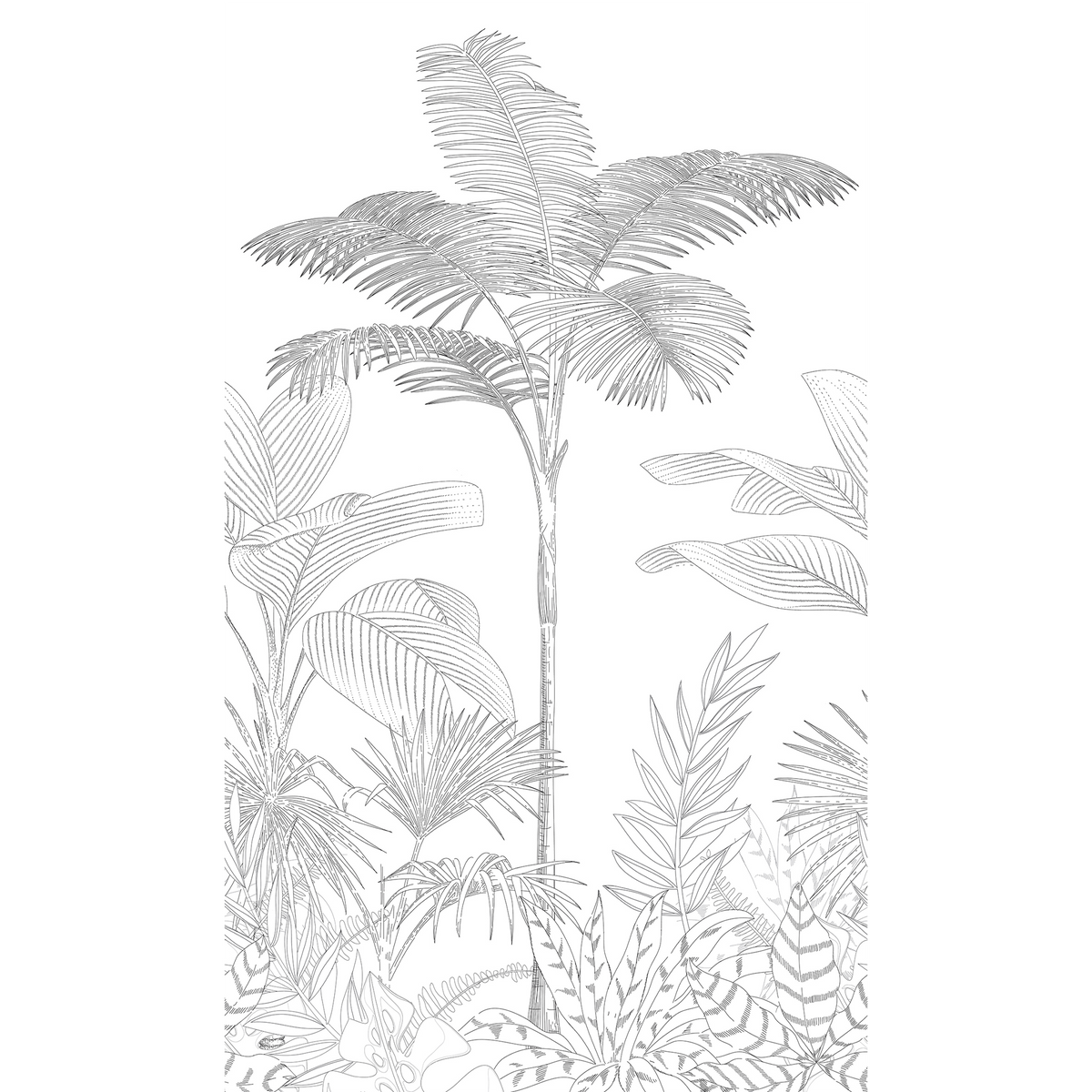 4MURS Papier peint panoramique L Pahoa Noir et blanc Satiné