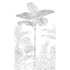PAHOA