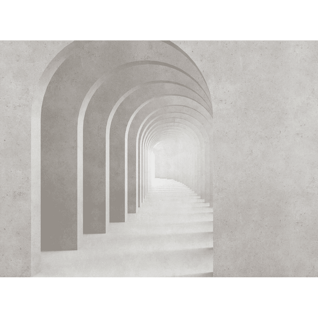 Papier peint panoramique XL ALBAN 371 x 280 cm