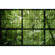 Papier peint panoramique XL Tropelia Vert feuille Satiné