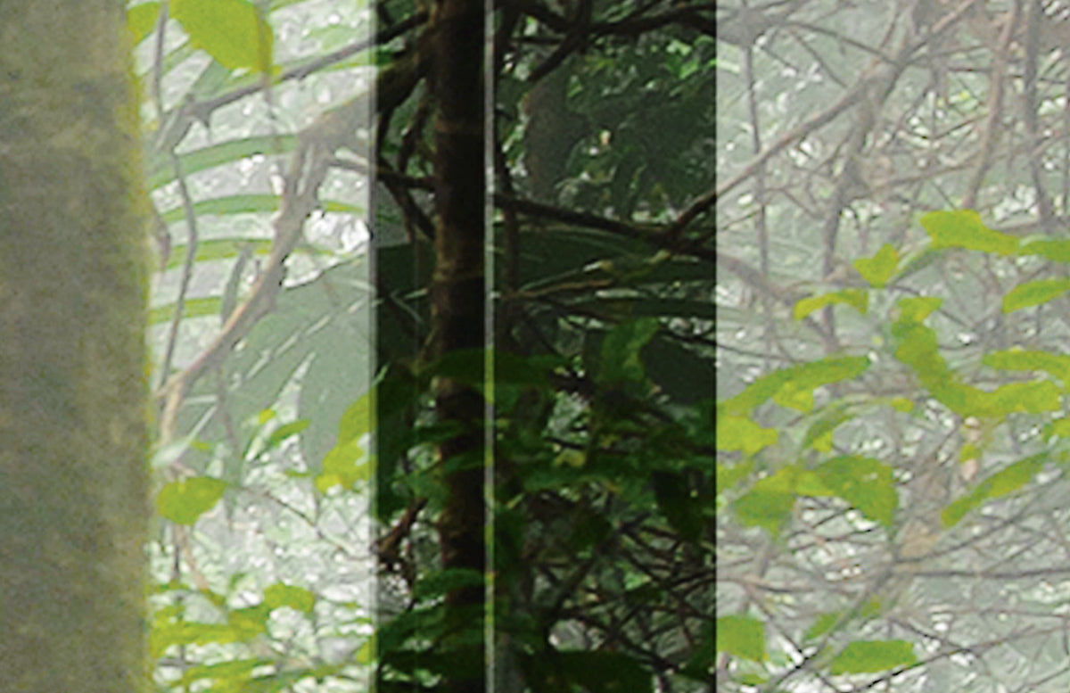 Papier peint panoramique XL Aureliane Vert feuille Satiné