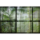 Papier peint panoramique XL Aureliane Vert feuille Satiné