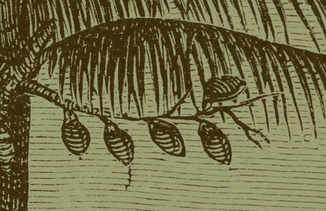 Papier peint panoramique XL AUXENCE 400 x 270 cm