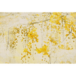 GLYCELIA