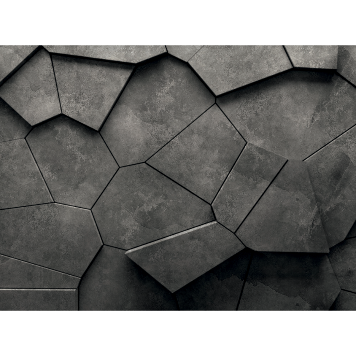 Papier peint panoramique XL Arthus Anthracite Satiné