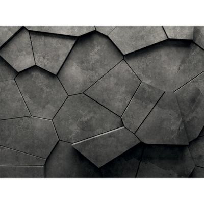 Papier peint panoramique XL Arthus Anthracite Satiné