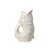 POISSON
