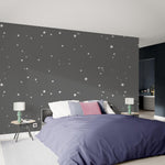 POUSSIÈRE D'ÉTOILES