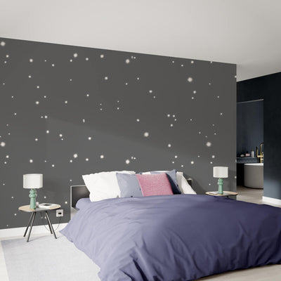 POUSSIÈRE D'ÉTOILES Peinture Poussière d'étoiles Gris canopus Mat 2L