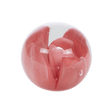 CAMELIA