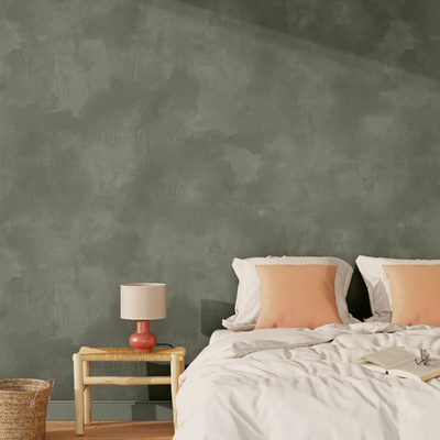 RÊVE DE SABLE Peinture Rêve de sable Kaki Mat 2,5L