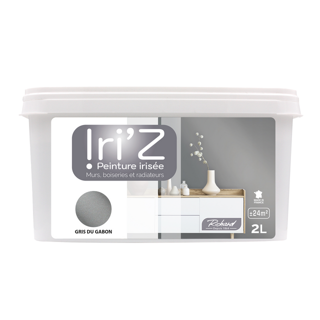 Richard Peinture IRIZ Peinture gris du Gabon Brillant 2 L