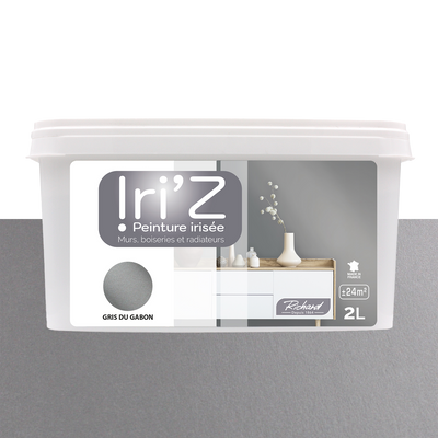 RICHARD Peinture Iriz Gris du gabon Brillant 2L