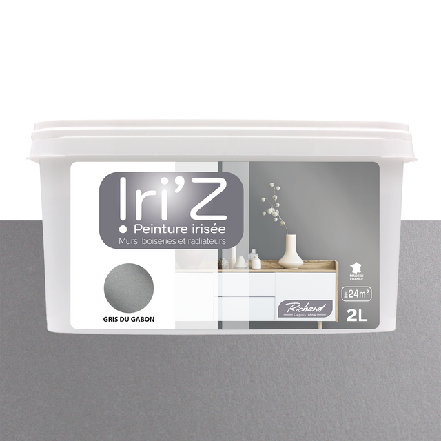 Richard Peinture IRIZ Peinture gris du Gabon Brillant 2 L