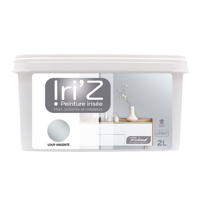 Richard Peinture IRIZ Peinture loup argenté Brillant 2 L