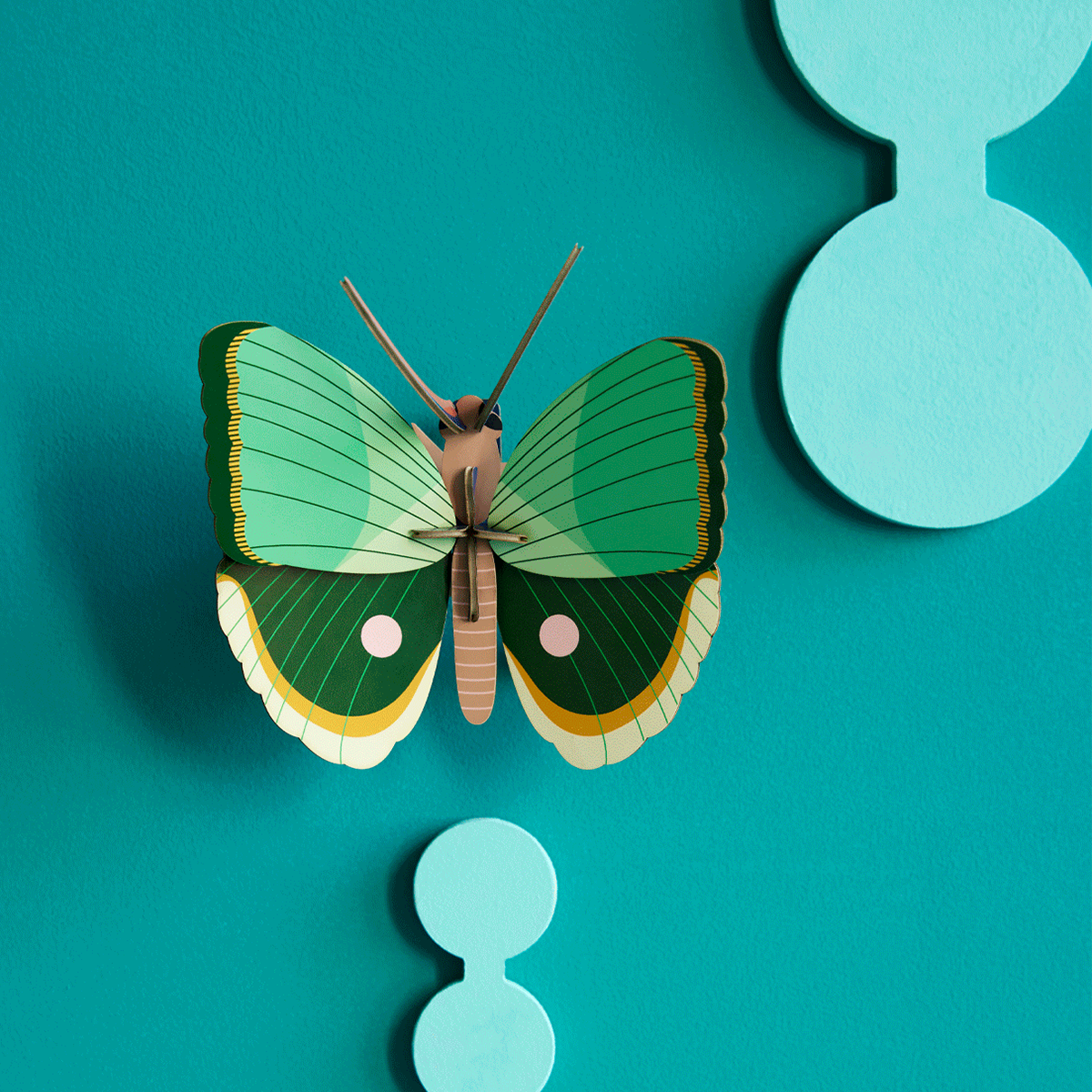 STUDIOROOF Kit Papillon fougère rayé Vert