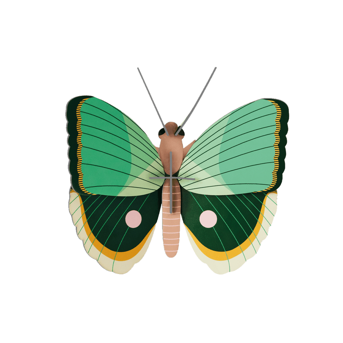 STUDIOROOF Kit Papillon fougère rayé Vert