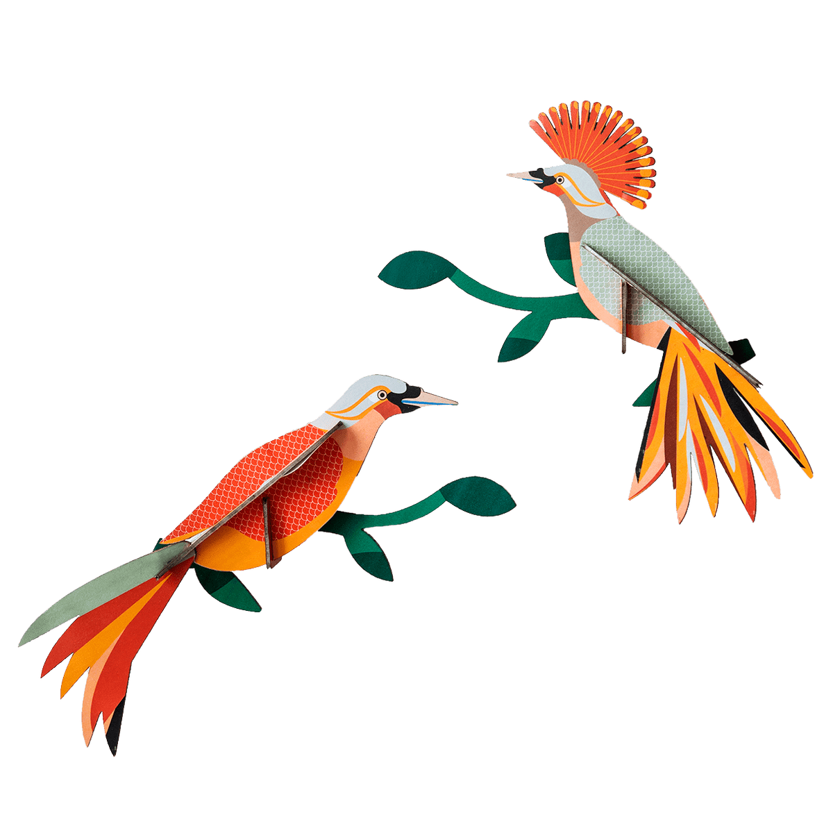 STUDIOROOF Kit Oiseaux du paradis Multicolore