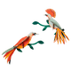 STUDIOROOF Kit Oiseaux du paradis Multicolore